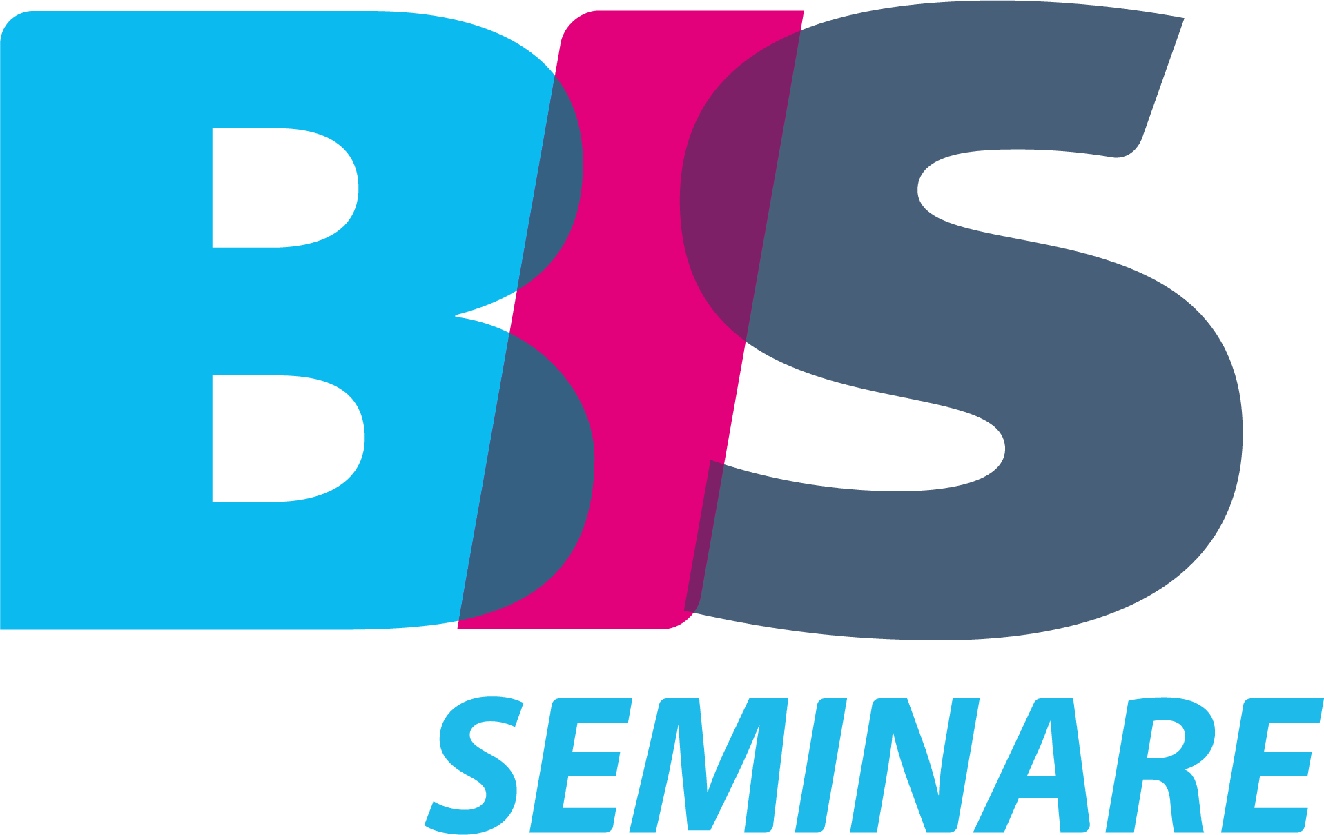 BIS Seminare